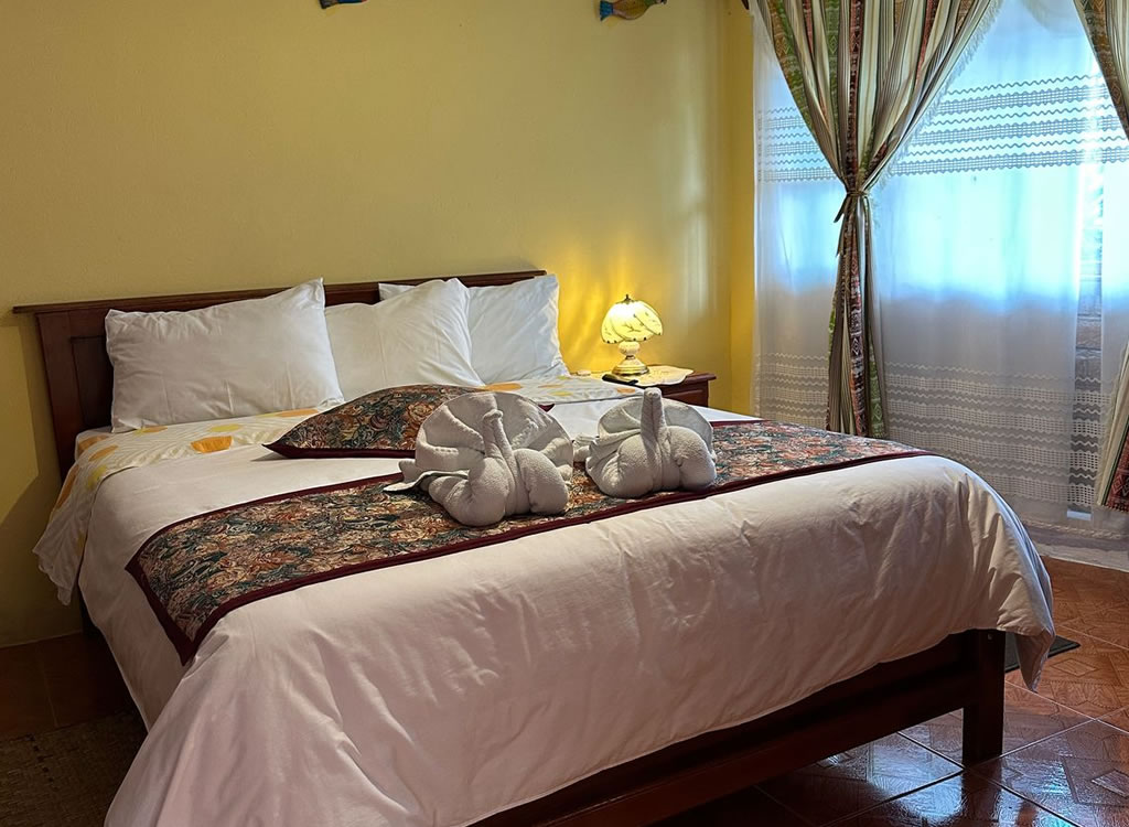 Habitación con cama extragrande